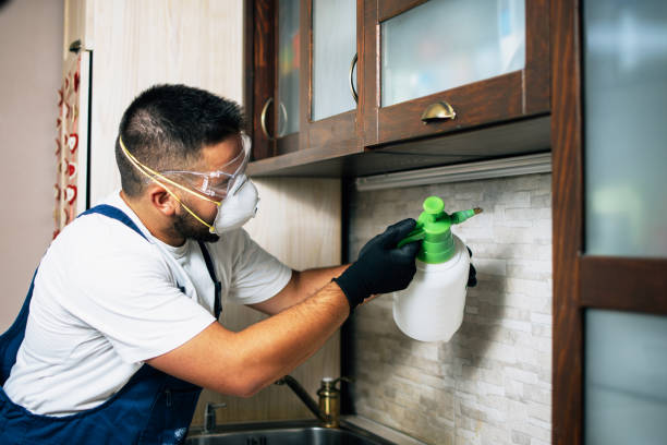 Best Pest Control Treatment  in Boerne, TX