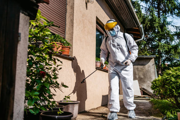 Best Pest Prevention Services  in Boerne, TX