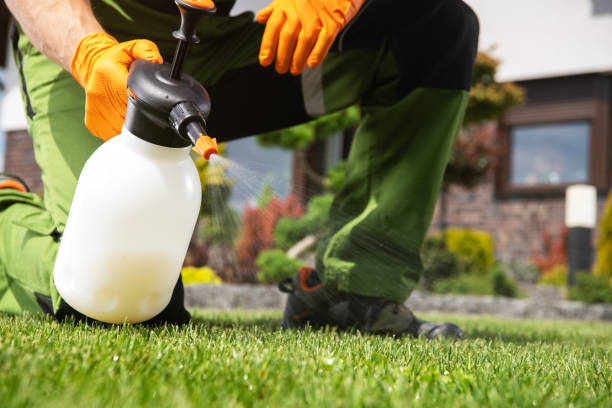 Best Best Pest Control Companies  in Boerne, TX